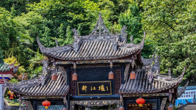 Partenza da Chengdu - Navetta diretta per l'attrazione di Panda Valley/Dujiangyan con noleggio con conducente esclusivo andata e ritorno (servizio di prelievo gratuito a domicilio)