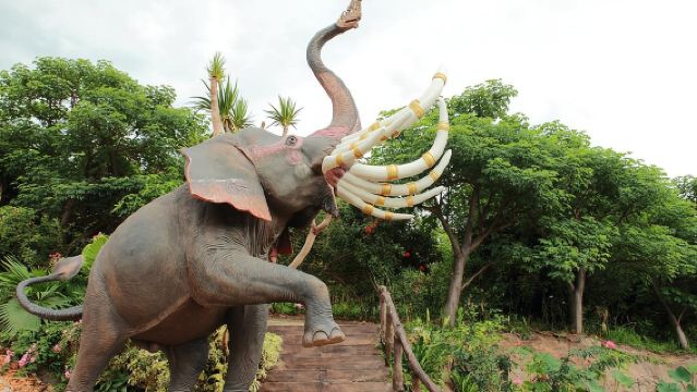 Xishuangbanna Private Immersion Day Tour: Dive into Wild Elephant Valley&Primeval Forest!