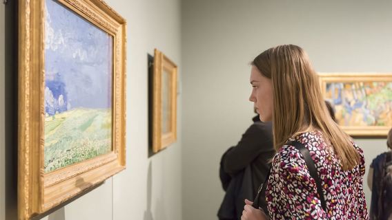 Amsterdam: Van Gogh Museum Guided Tour with Entry