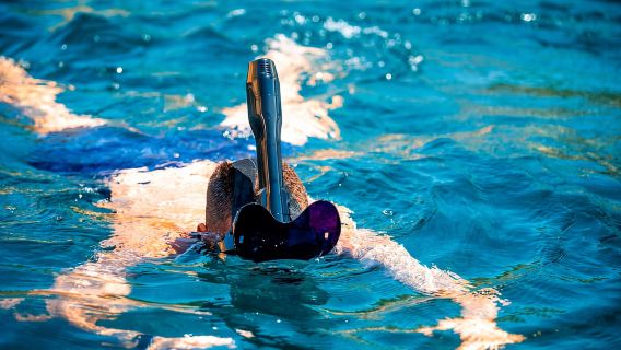 Favignana and Levanzo Island: Swim, Snorkeling and Lunch