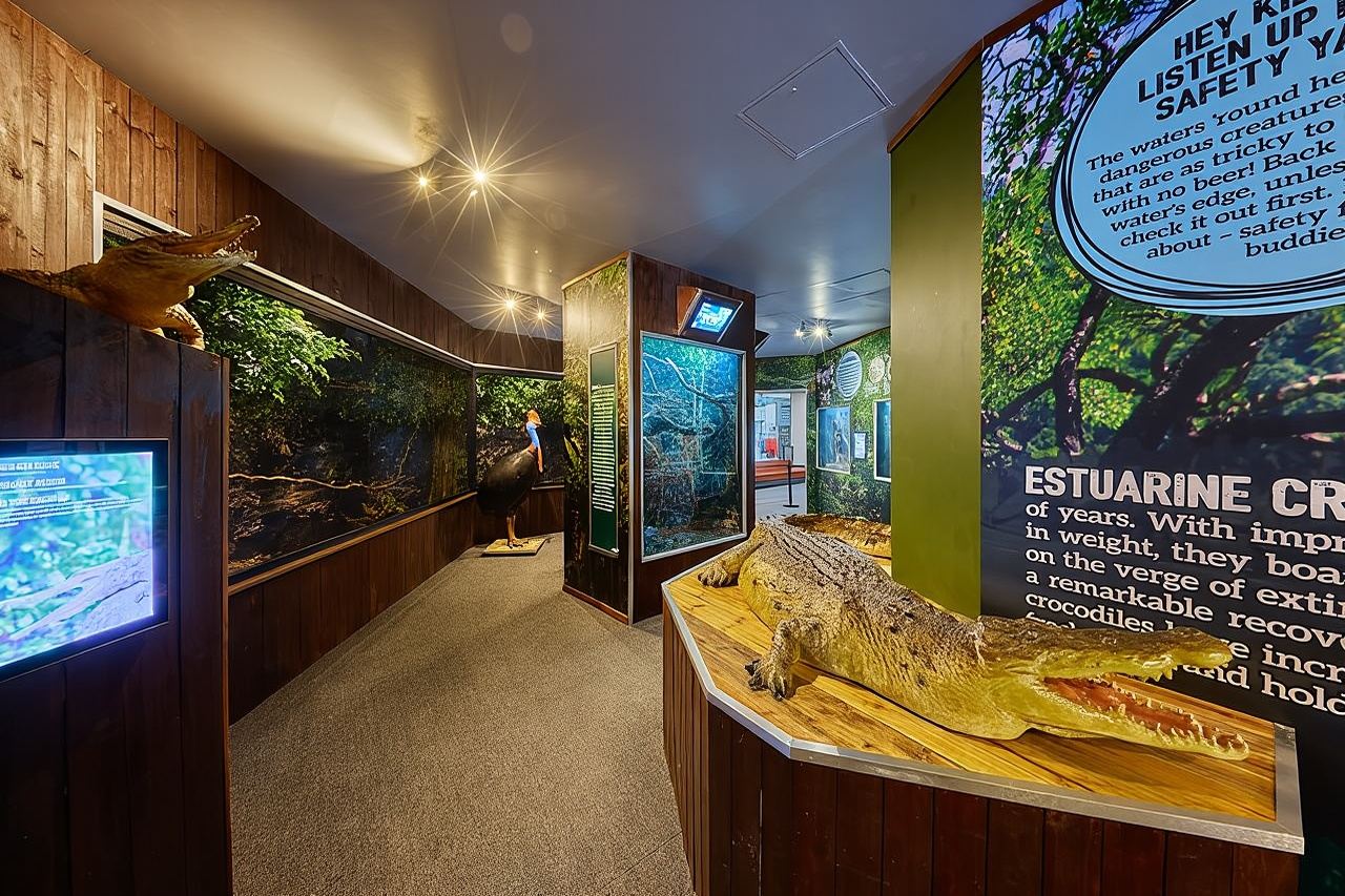 Koala e creature di Cairns al molo