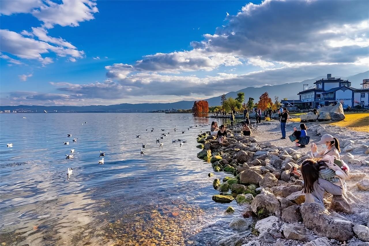 大理環洱海純玩【桃源碼頭S彎+雙廊+喜洲+理想邦】一日遊