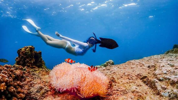 Nemo Island Erlebnis mit Drohnenfotos und Mittagessen im Restaurant am Meer