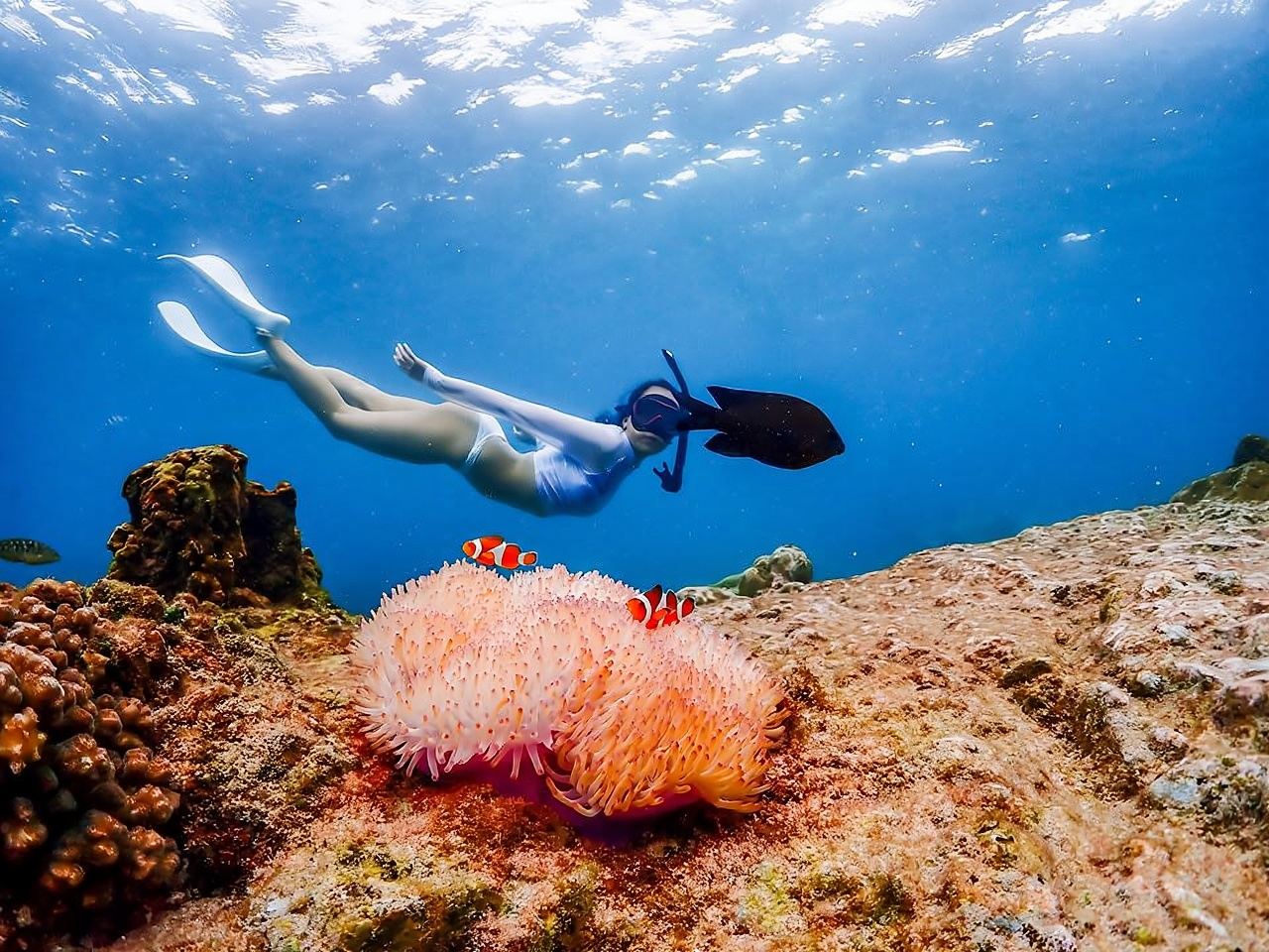 Nemo Island Experience with Drone Photos and Lunch at Seaside Restaurant