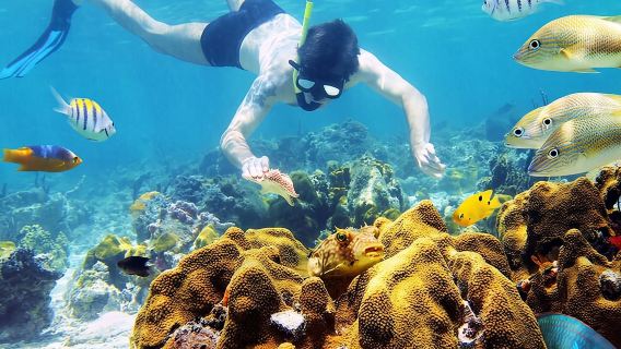 Day Tour To Nha Trang Coral Reef With BBQ Lunch & Mud Bath