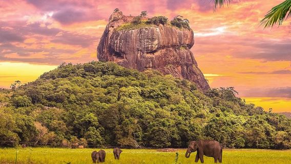 Kandy to Sigiriya Day Tour and Dambulla cave temple with private vehicle