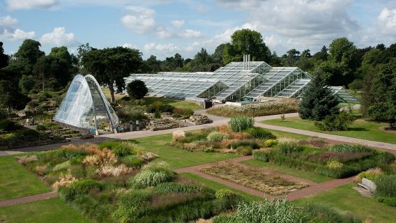 ビッグ・ベン+ハイド・パーク+ロンドン塔+キュー王立植物園+ノッティング・ヒル ワンデーツアー【貸切チャーター専用】