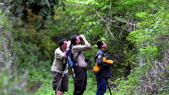 GuayaquilTours
