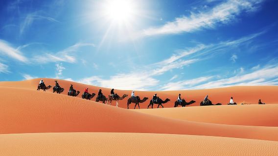 Merzouga Camel Trekking & Overnight Desert Camp