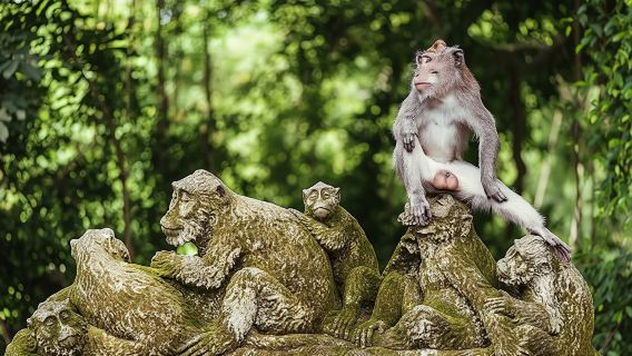 Best of Ubud private day tour