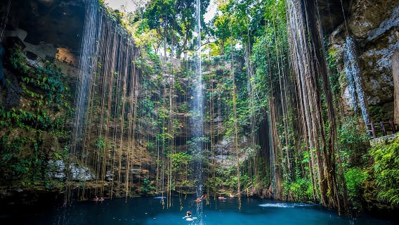 Half-Day Three-Cenote Tour to Cascabel, Chacsinkín and Xooch'