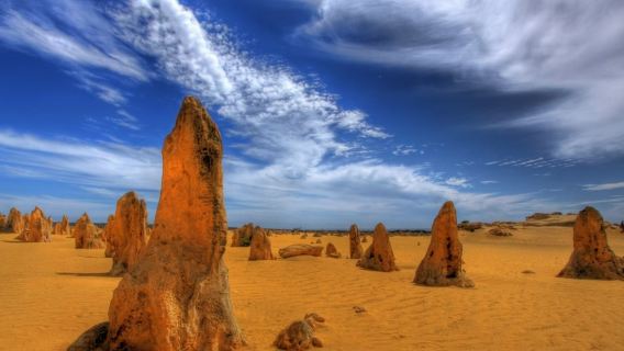 Perth, Australia: Pinnacles ~ Koalas ~ 4WD Sandboarding with Pickup and Lunch Q