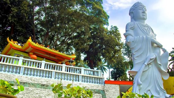 Batam Elegance Escape: Thưởng thức trà chiều với tầm nhìn rừng & Tham quan thành phố kèm bữa trưa từ Singapore