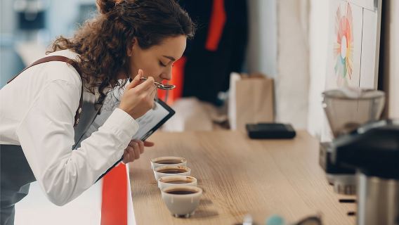 Tour tham quan Đường mòn trà Munnar, tham quan nhà máy trà và nếm thử trà