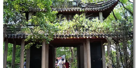 浙江寧波一日遊包車遊/多種服務可諮詢