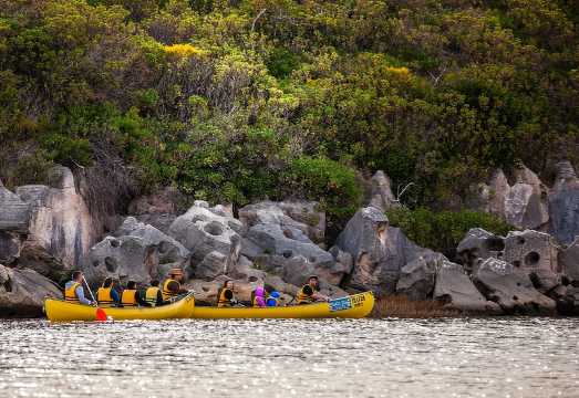 Margaret River Canoe Tour Including Australian Wild Food Lunch AUD 144.4