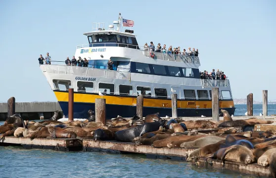 三藩市郵輪之旅