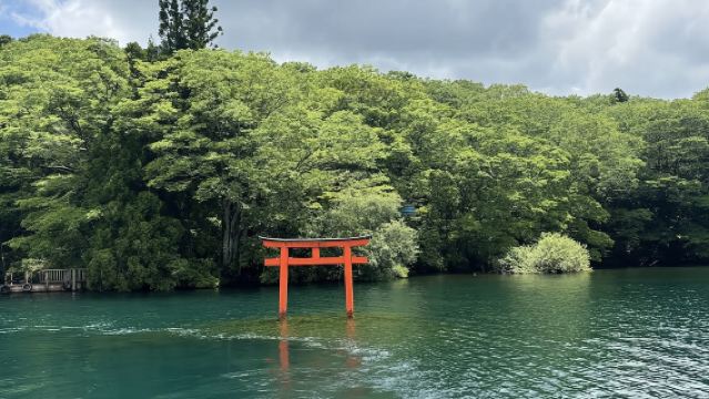 日本東京-箱根雕刻森林美術館-箱根神社【中文專車 舒適純淨】