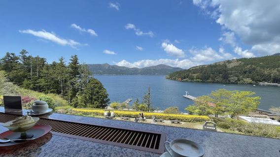 日本東京-箱根雕刻森林美術館-大涌谷【中文專車 舒適純淨】