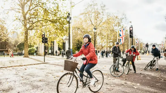 Visita guiada en bicicleta por los parques y palacios de Londres por la mañana