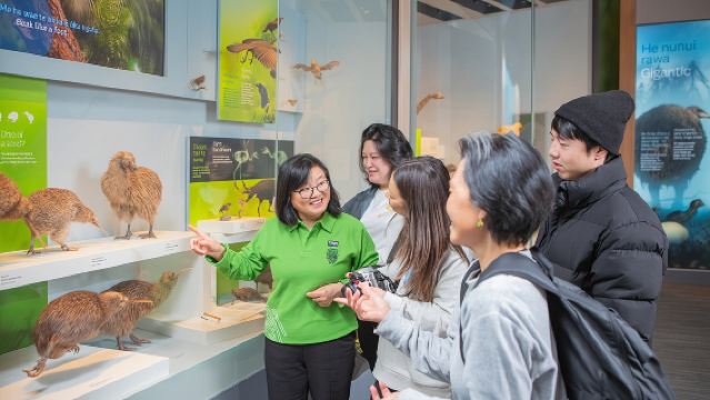 Museum of New Zealand Te Papa Tongarewa: Introducing Te Papa Tour
