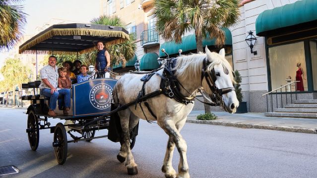 Charleston Horse-Drawn Carriage Tour: Explore Historic Charleston