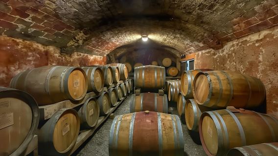 Wine experience in Piedmont