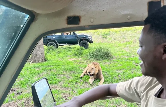 1. 乘搭火車從達累斯薩拉姆出發前往米庫米的一日遊獵之旅