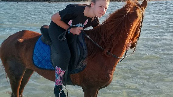 Horse Riding on the Beach And Desert 3 hours From Hurghada