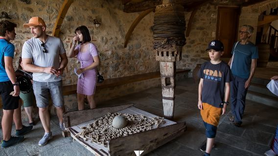 Atenas: Excursión de un día a Meteora en español con guía y almuerzo
