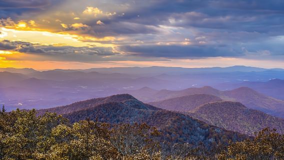Depuis Atlanta : visite de la région viticole du nord de la Géorgie