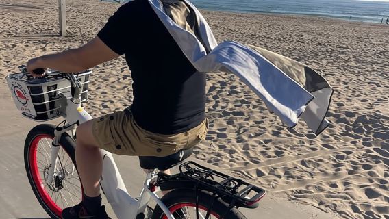 Los Angeles: Beach E-Bike Ride Redondo Beach to Santa Monica