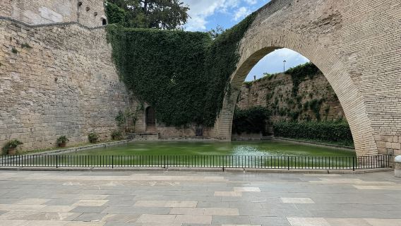Tour guidato in bicicletta nel centro storico di Palma di Maiorca