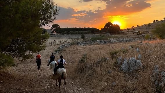 Matera: Reittour bei Sonnenuntergang auf Murgia
