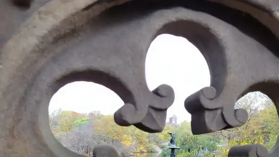 Guided Deluxe Pedicab Tour in Central Park