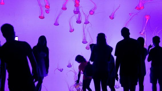 多倫多城市亮點快速遊