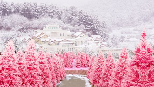 Café Ice Wall + Cueillette de fraises + Lac Sanjeong + Excursion d'une journée à l'île aux herbes
