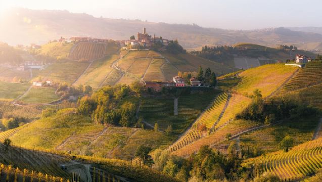 Barolo Vineyards & UNESCO Wine Cathedral Experience