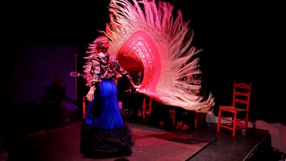 Valencia Phố Cổ: Buổi Biểu Diễn Flamenco Đích Thực và Gần Gũi