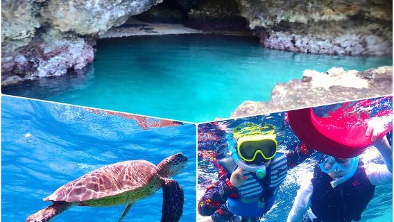 Okinawa Ishigaki Blue Cave Snorkeling Tour