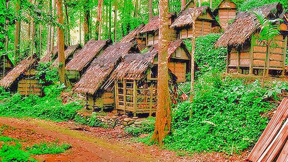 North JakartaTours