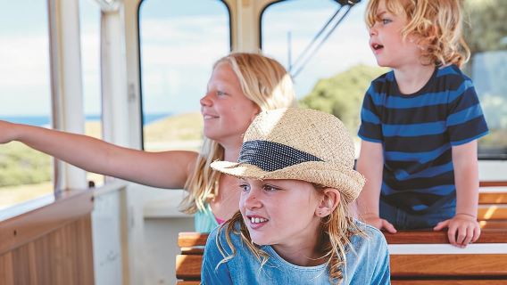 Rottnest Island Full-Day Trip With Guided Island Tour From Perth