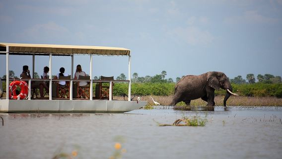 Excursión de un día a Selous desde Zanzíbar