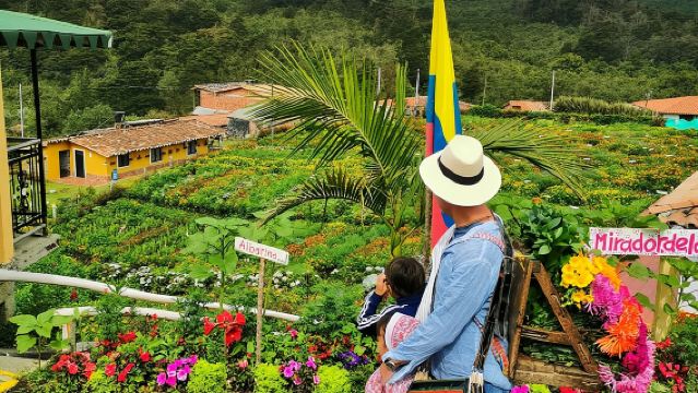Flower Farm & Silletas Tour in Santa Elena Medellin