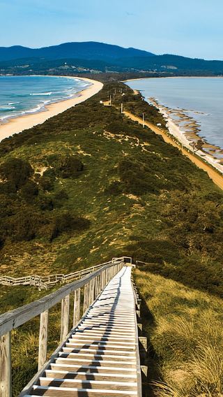 Tasmania Bruny Island [North-South Line, Oyster Farm, Honey Farm, White Wallabies]