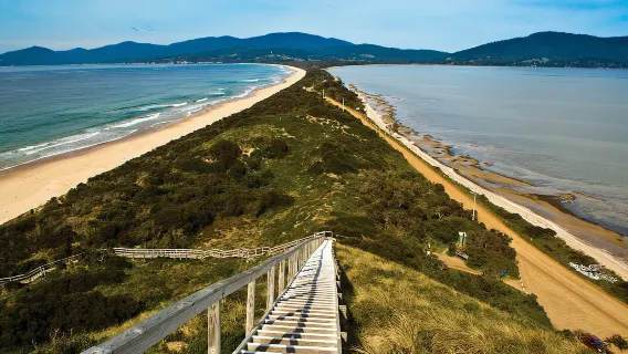 Tasmania Bruny Island [North-South Line, Oyster Farm, Honey Farm, White Wallabies]