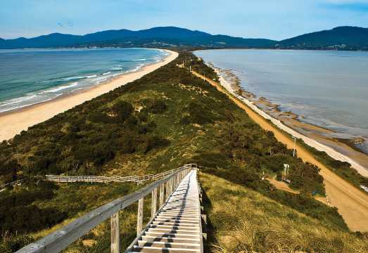 Tasmania Bruny Island [North-South Line, Oyster Farm, Honey Farm, White Wallabies]