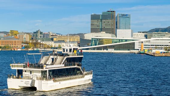 Pelayaran Wisata Berpemandu di Oslofjord dengan Kapal Senyap Premium