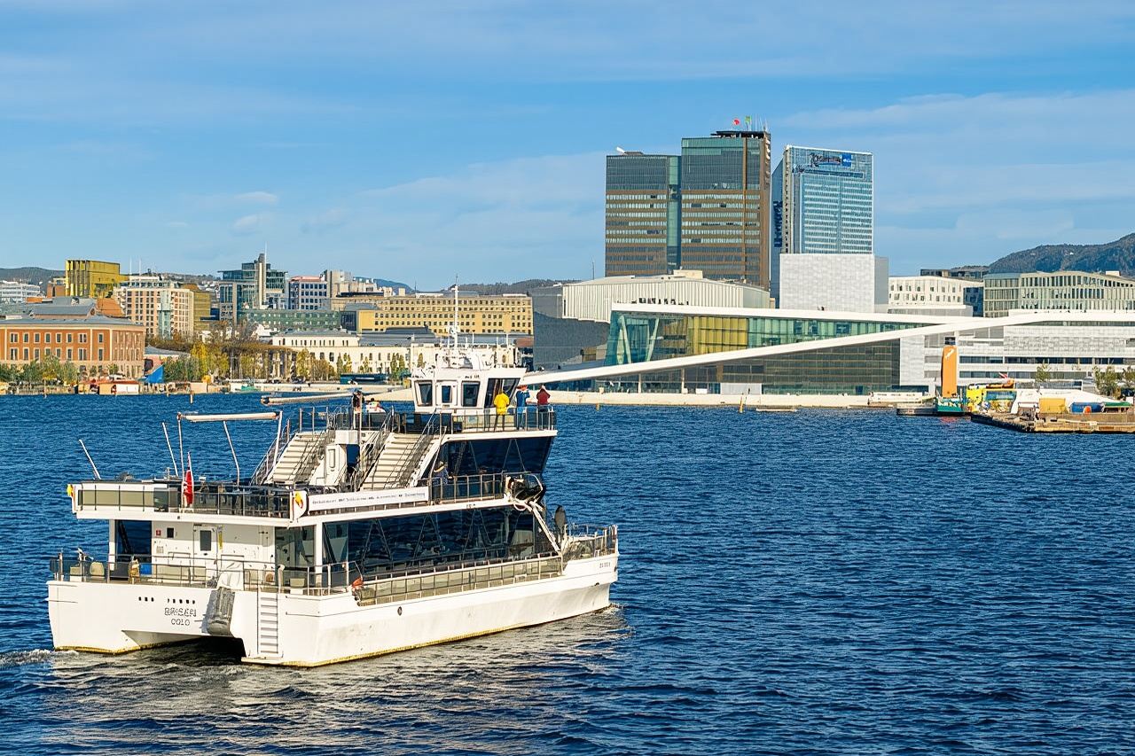 Guided Sightseeing Cruise on Oslofjord by Premium Silent Boat