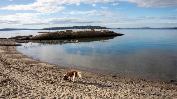 Norway + Akershus Fortress + Oslo Fjord + Bygdoy Peninsula + Huk Beach